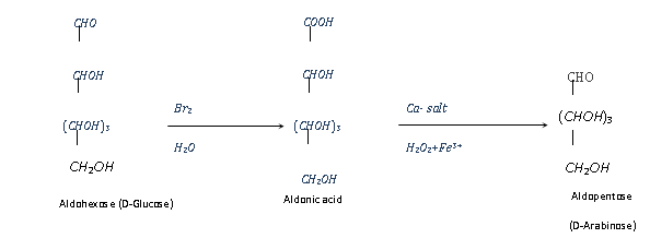 763_interconversion of glucose1.png